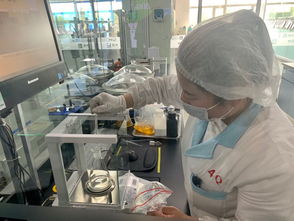 探访蒙牛工厂与京东冷链分拣中心 冰淇淋产业全链路服务升级与信息咨询新图景